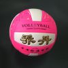 Ballon de volley - Ref 2012236