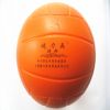 Ballon de volley - Ref 2012242