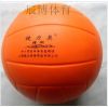 Ballon de volley - Ref 2012350