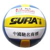 Ballon de volley - Ref 2012408