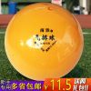 Ballon de volley - Ref 2012415