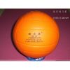 Ballon de volley - Ref 2012450