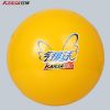 Ballon de volley - Ref 2012547