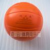 Ballon de volley - Ref 2012597