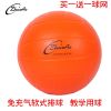 Ballon de volley - Ref 2012637