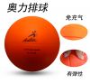 Ballon de volley - Ref 2012834