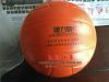 Ballon de volley - Ref 2012852