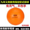 Ballon de volley - Ref 2013014