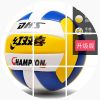 Ballon de volley - Ref 2013019