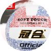Ballon de volley - Ref 2013084
