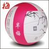 Ballon de volley - Ref 2013102