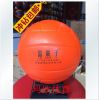 Ballon de volley - Ref 2013134