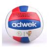 Ballon de volley - Ref 2013179