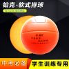 Ballon de volley - Ref 2013193