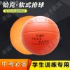 Ballon de volley - Ref 2013235