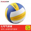Ballon de volley - Ref 2013237