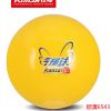 Ballon de volley - Ref 2013254