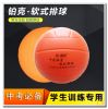 Ballon de volley - Ref 2013259