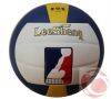 Ballon de volley - Ref 2013342
