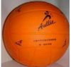 Ballon de volley - Ref 2013548