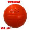 Ballon de volley - Ref 2013637