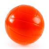 Ballon de volley - Ref 2013654