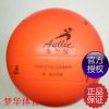 Ballon de volley - Ref 2013864