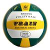 Ballon de volley - Ref 2014500