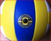 Ballon de volley - Ref 2014637