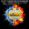Ballon de volley - Ref 2014708