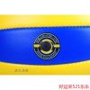 Ballon de volley - Ref 2014927