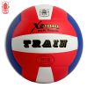 Ballon de volley - Ref 2014990