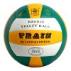 Ballon de volley - Ref 2015001