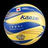 Ballon de volley - Ref 2015043