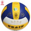 Ballon de volley - Ref 2015159