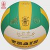 Ballon de volley - Ref 2015160
