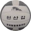 Ballon de volley - Ref 2015225