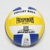 Ballon de volley - Ref 2015560