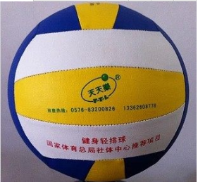 Ballon de volley - Ref 2015597