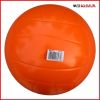 Ballon de volley - Ref 2015640