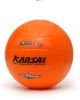 Ballon de volley - Ref 2016316