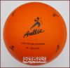 Ballon de volley - Ref 2016322
