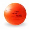 Ballon de volley - Ref 2016334