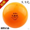 Ballon de volley - Ref 2016390