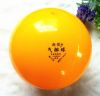 Ballon de volley - Ref 2016504