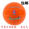 Ballon de volley - Ref 2016755