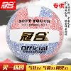 Ballon de volley - Ref 2016777