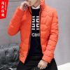 Blouson chaud pour Homme en Polyester - Ref 3114015