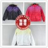  Blouson de sport femme - Ref 505667
