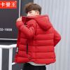 Blouson hiver pour Homme CADENGWANG - Ref 3112650